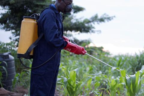 PROJET PHYTOSANITAIRE