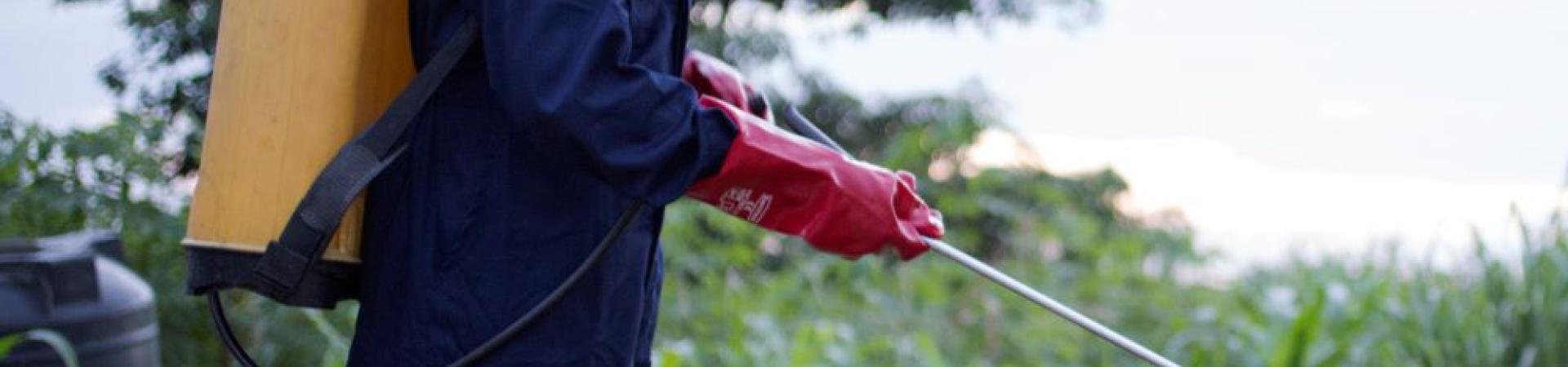 PROJET PHYTOSANITAIRE
